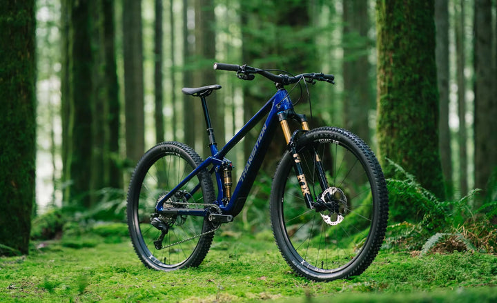 Transition Spur Carbon Frameset