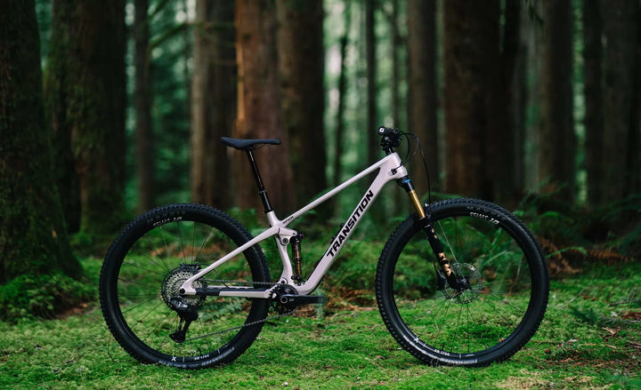 Transition Spur Carbon Frameset