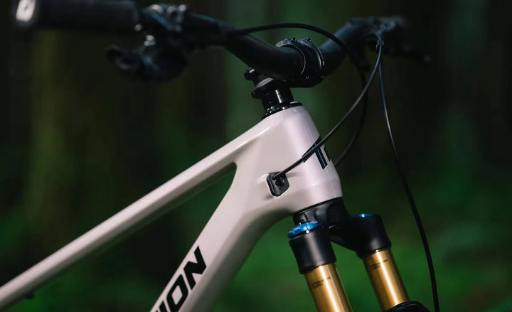 Transition Spur Carbon Frameset