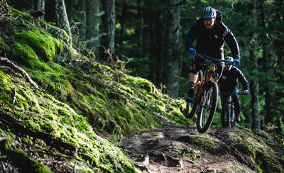 Transition Sentinel Carbon Frameset