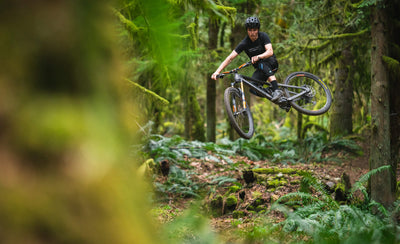 Transition Sentinel Carbon Frameset