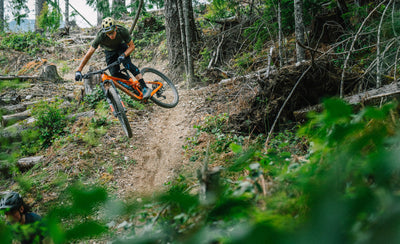 Transition Spire Alloy Frameset