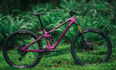 Transition Smuggler Carbon GX